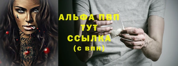 дживик Коряжма