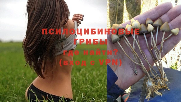 мескалин Кодинск