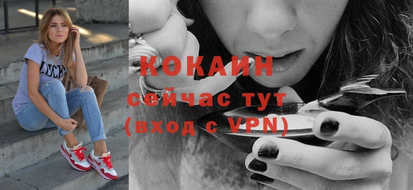 mdpv Козловка