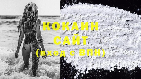 дживик Коряжма