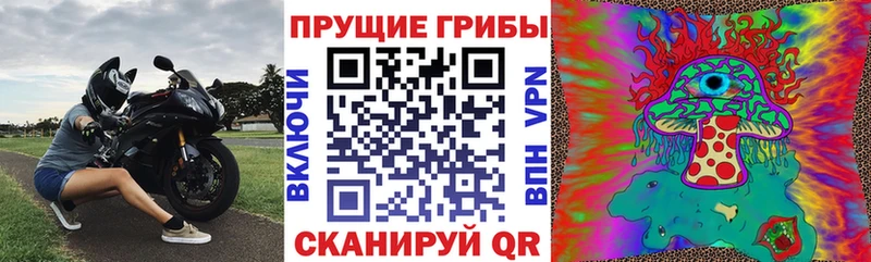 где купить наркотик  Оса  Галлюциногенные грибы мухоморы 